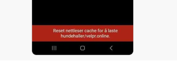 cache-problem.png