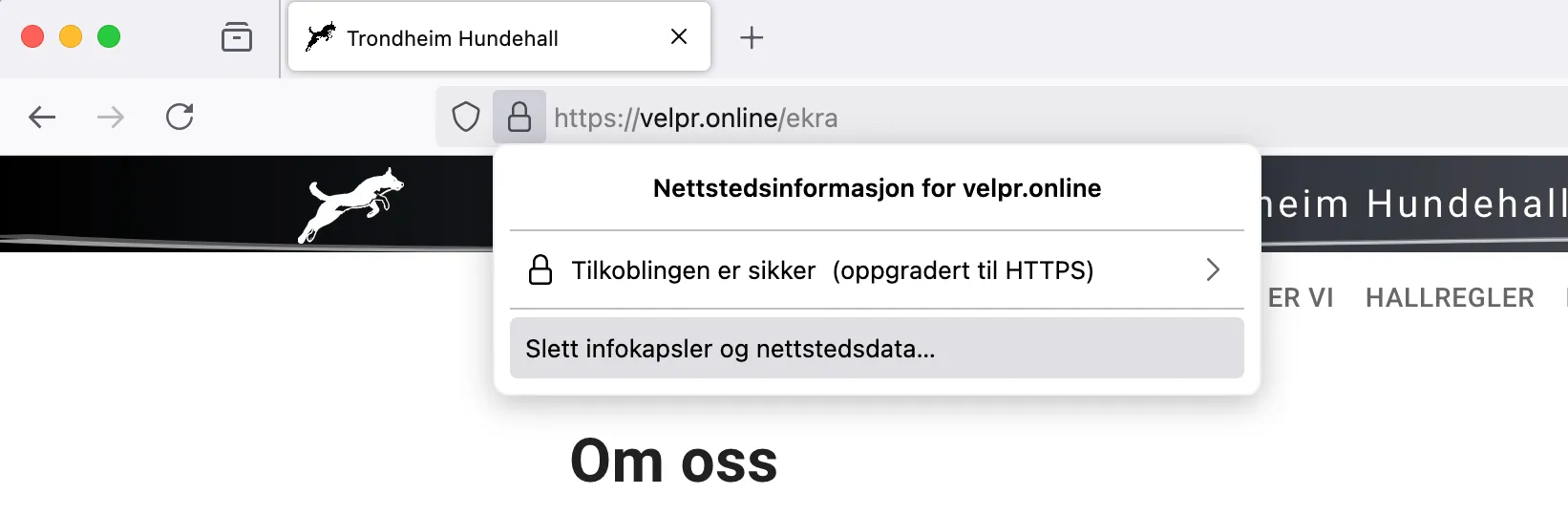 datamaskin-firefox-1.png