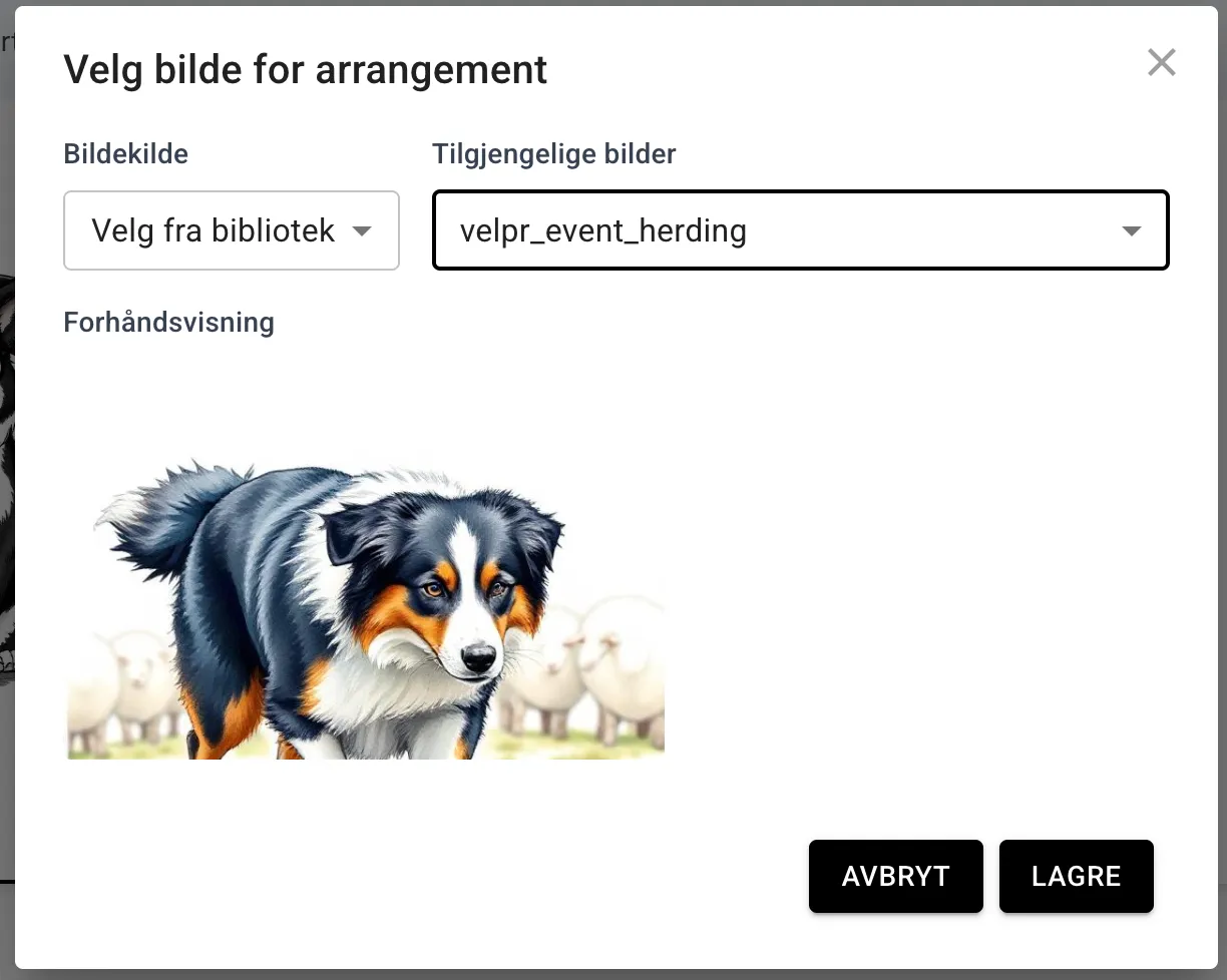 velgbilde.png